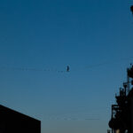 Slaglinie-Artist im Landschaftspark „Nachtschicht 2025“