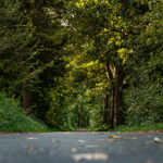 Waldweg Krickenbecker See