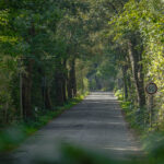 Landstraße in Hüls