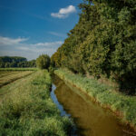 Landschaft am Nierssee