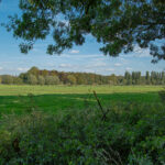 Landschaft am Nierssee